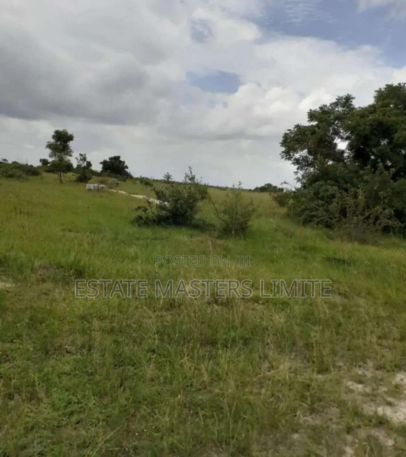 Plots Of Land Close To The Gomoa East Municipal For Sale in Gomoa East