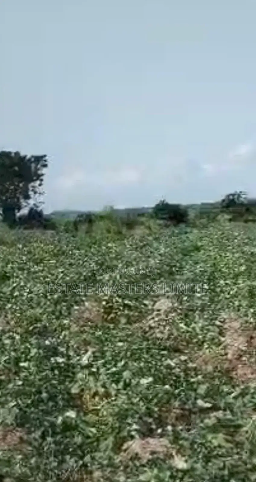 Centralised Land Between Kasoa-Winneba Road at Dominase in Gomoa East