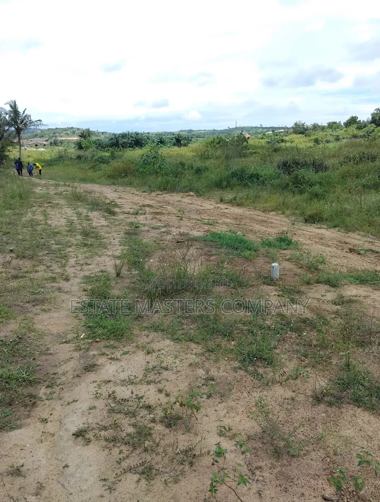 Buy a Professional Land From Us at Ningo Prampram in Ningo-Prampram