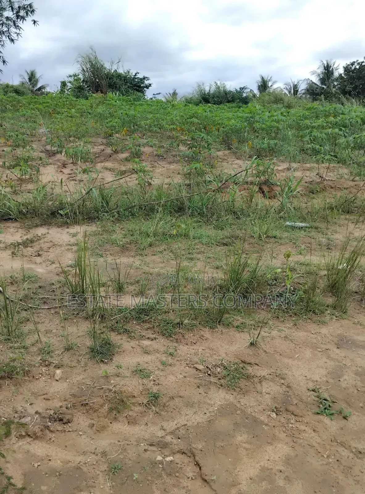 Buy a Professional Land From Us at Ningo Prampram in Ningo-Prampram