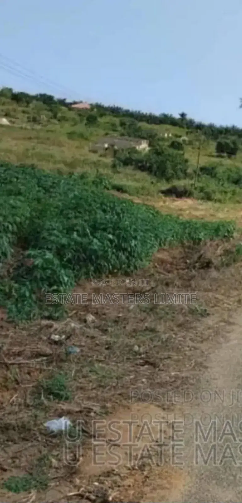 Treasure Lands for Sale at Dominase in Gomoa East
