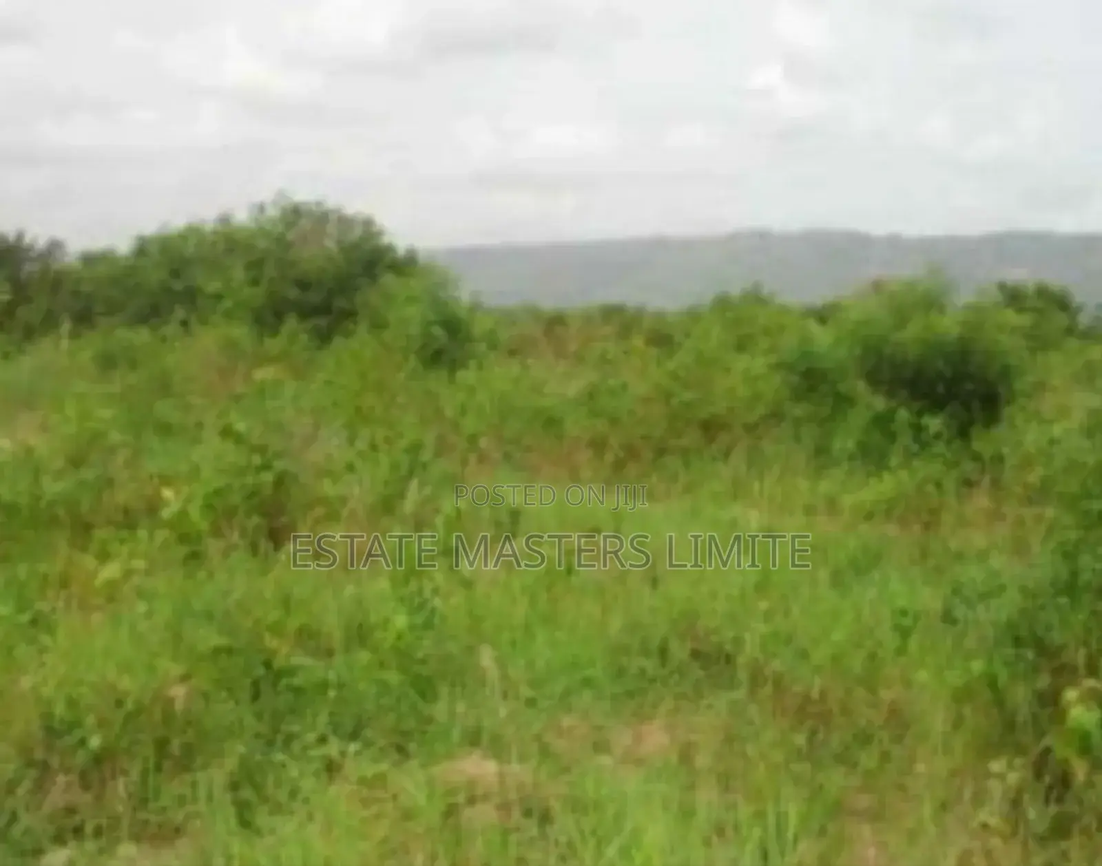 Buy a Land for Your Self and Family at Dominase in Gomoa East