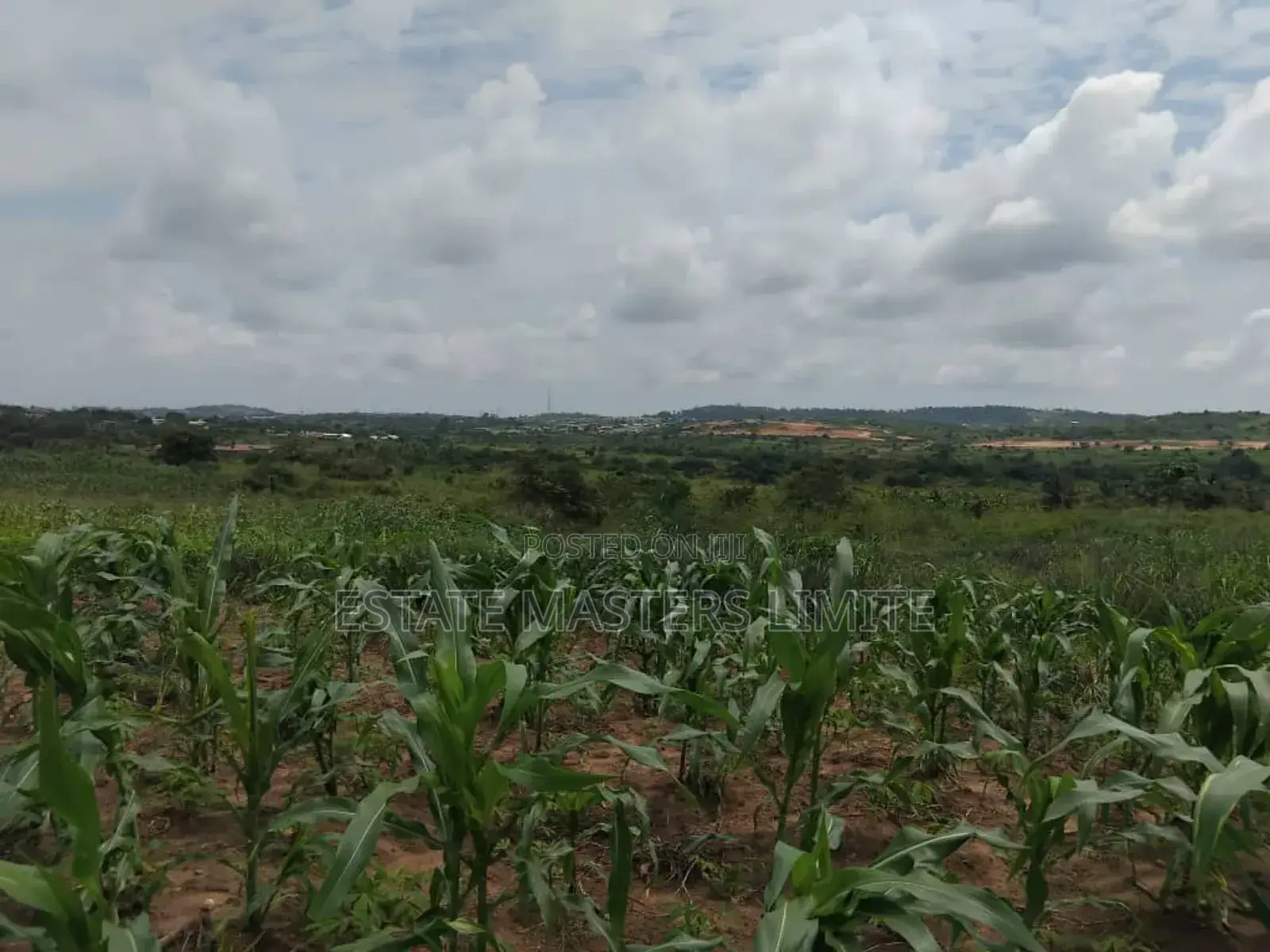 Set A Plan To Own A Plot Of Land At Dominase in Gomoa East