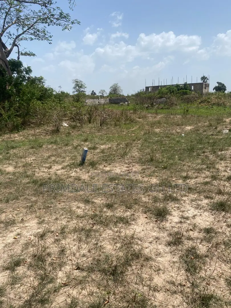 Affordable-Well Demarcated-Litigation-Free Afienya Lands in Sakumono