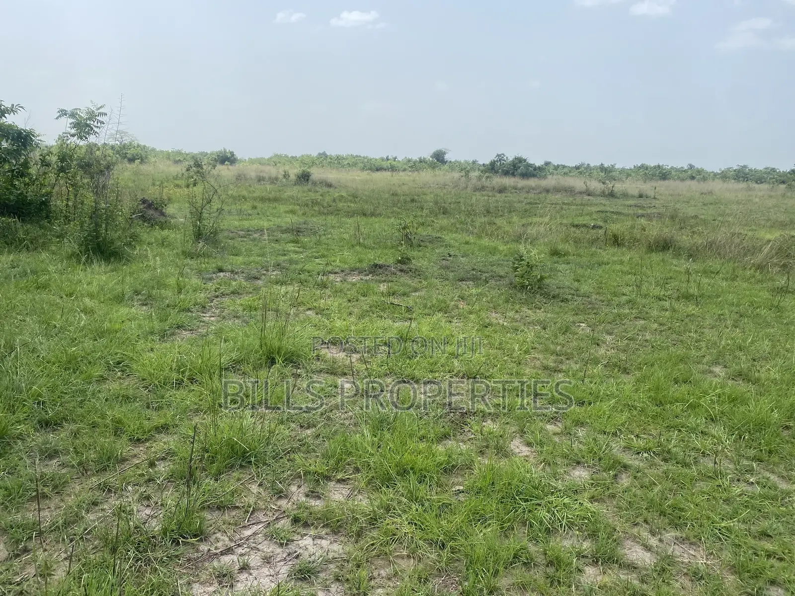 Titled Land Located at Ayikuma in Dodowa