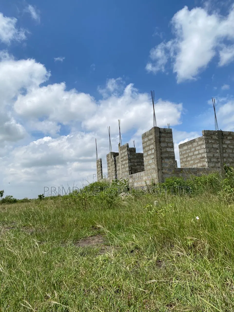 Well Demarcated Estate Genuine Afienya-Odumse in Accra Metropolitan