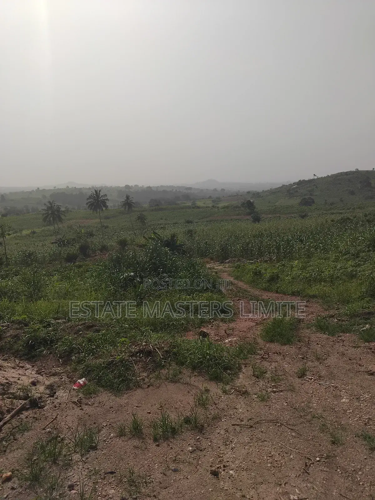 Environmental Friendly Lands for Sale at Dominase in Gomoa East