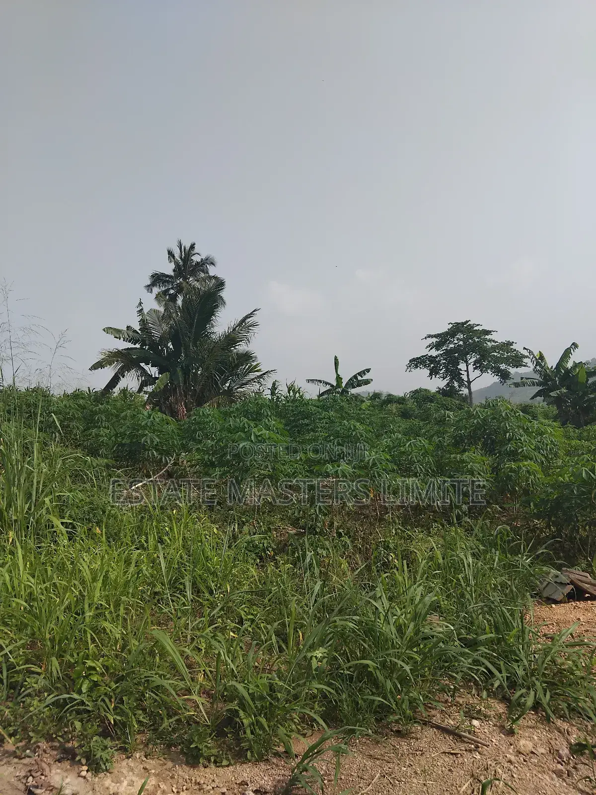 Meet Your Life Needs Buy a Litigation Free Land in Gomoa East