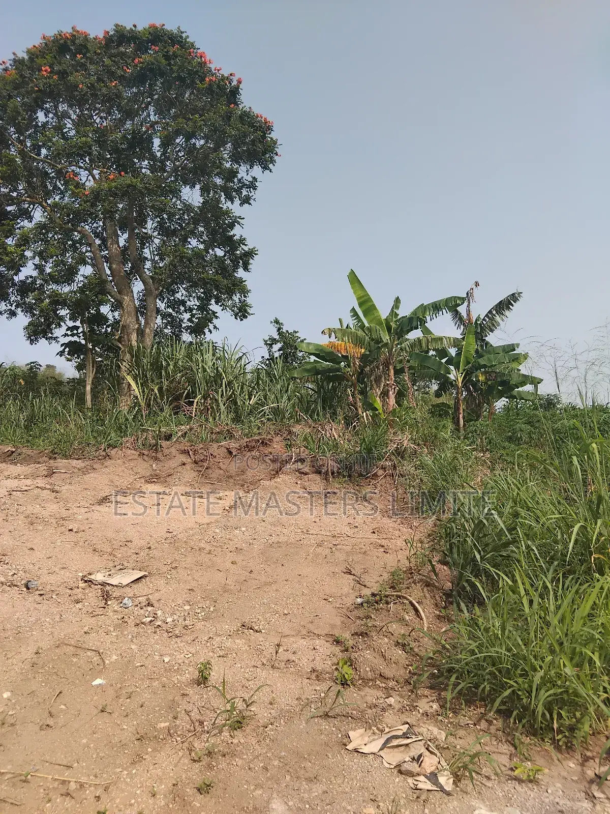 Meet Your Life Needs Buy a Litigation Free Land in Gomoa East