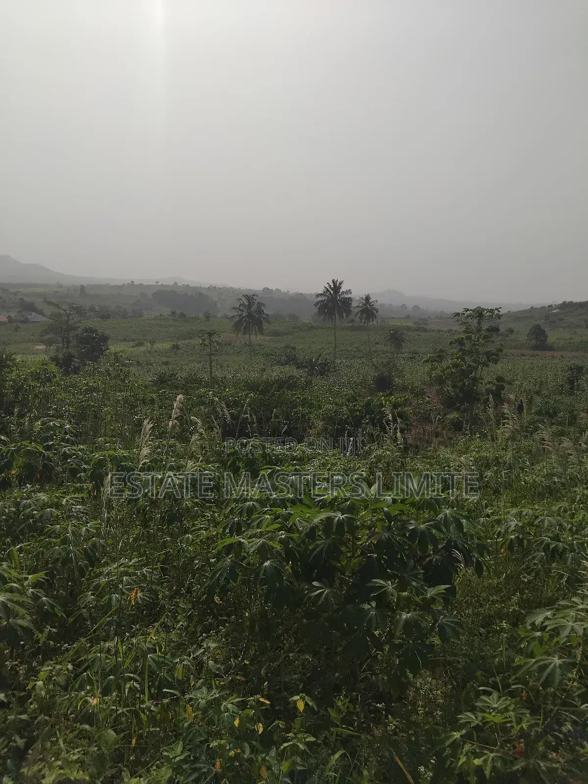 Buy a Land to Crown Your Success at Dominase in Gomoa East