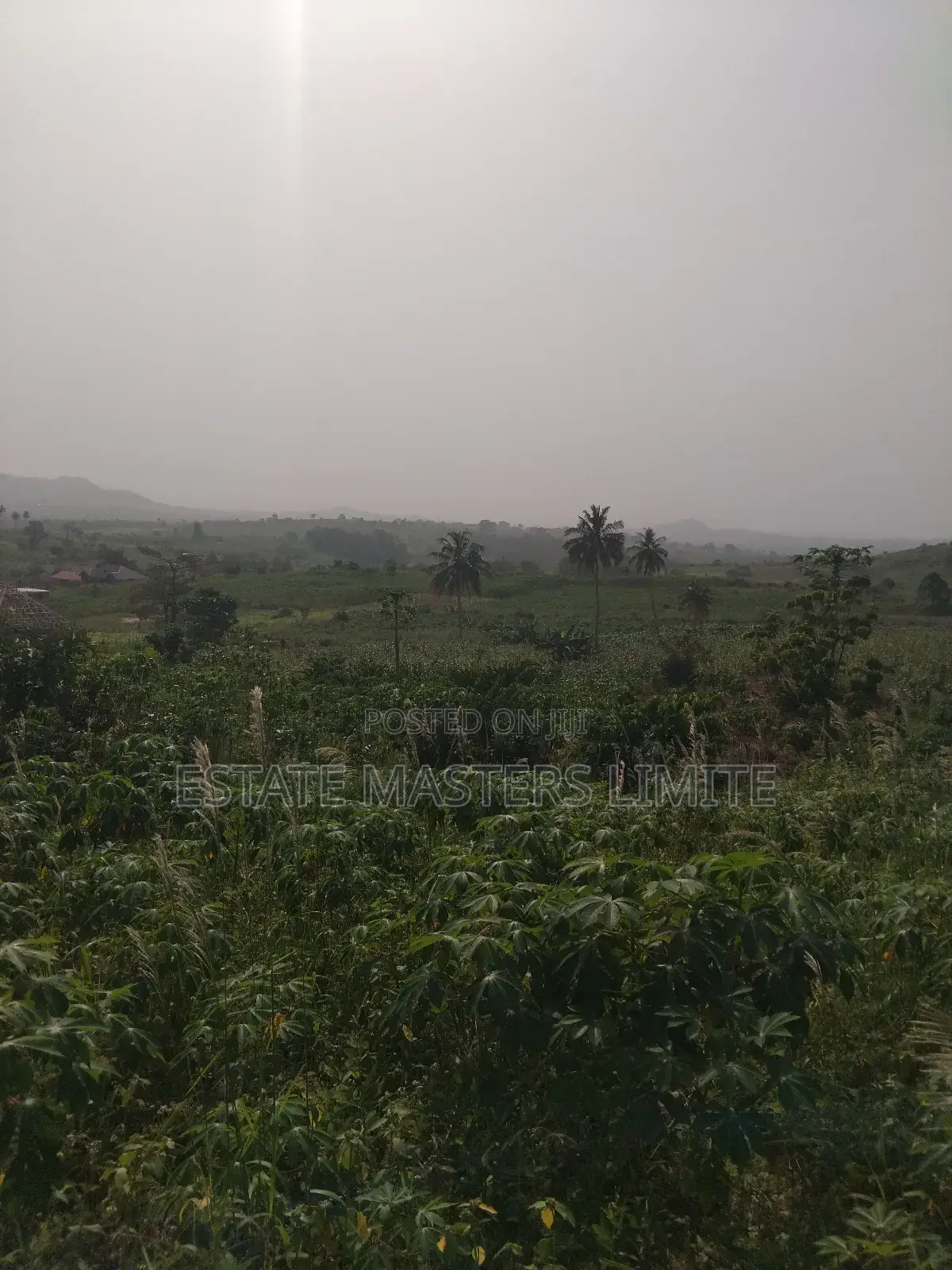 Buy a Land to Crown Your Success at Dominase in Gomoa East