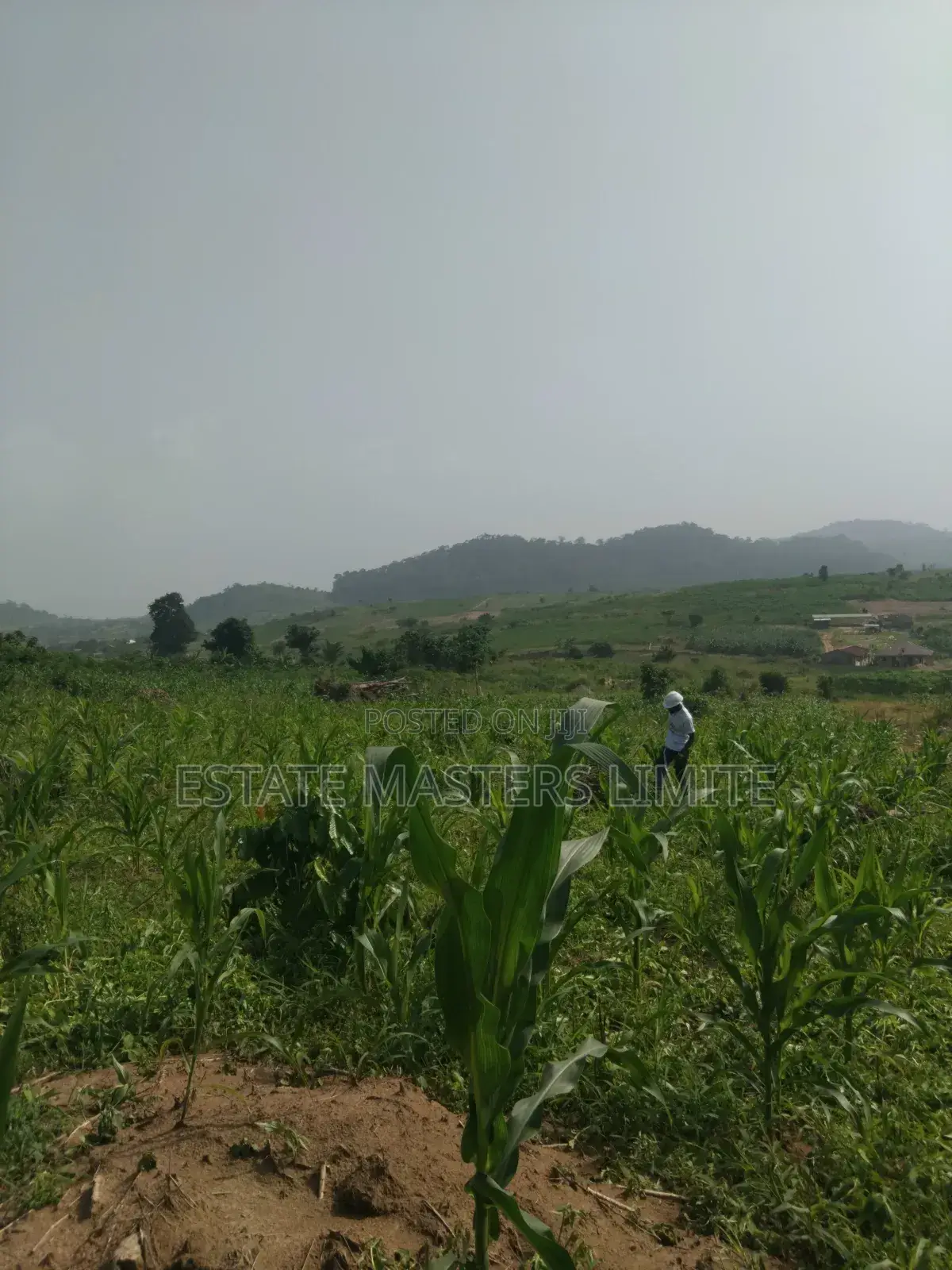Serene Environment Plots of Land for Sale at Dominase in Gomoa East