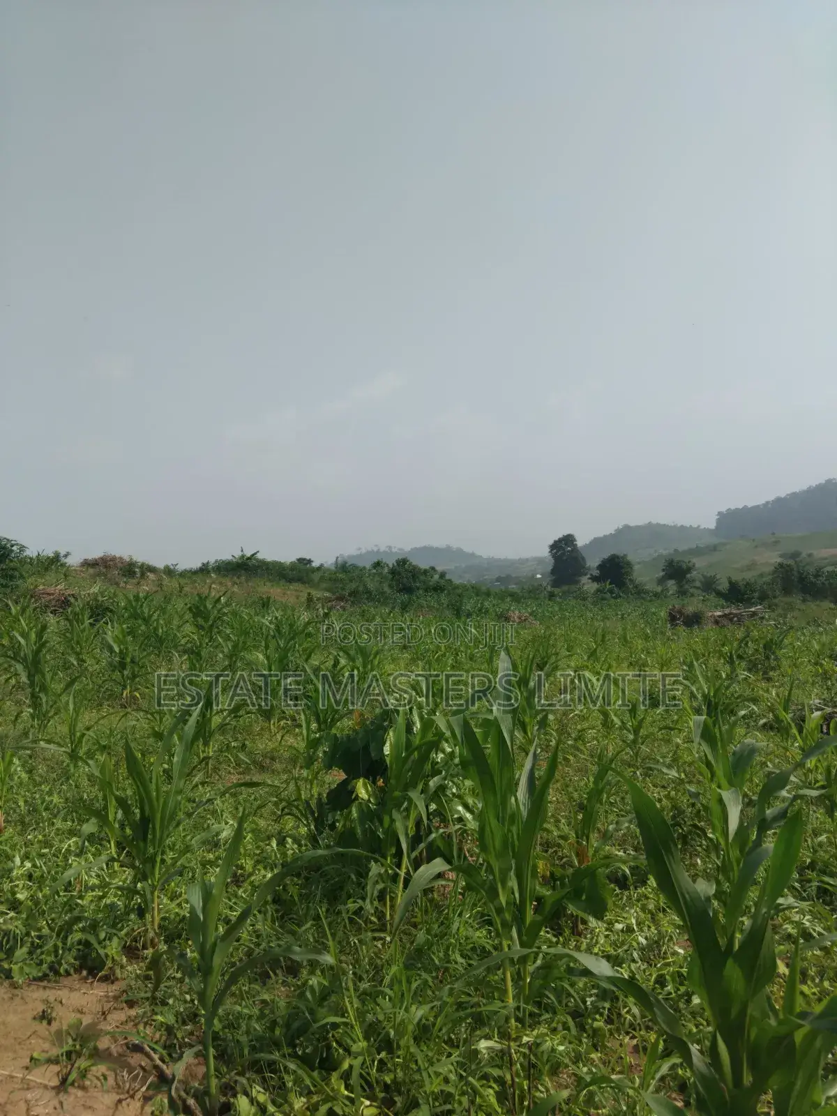 Land Is a Basic Need Buy a Plots of Land at Dominase in Gomoa East