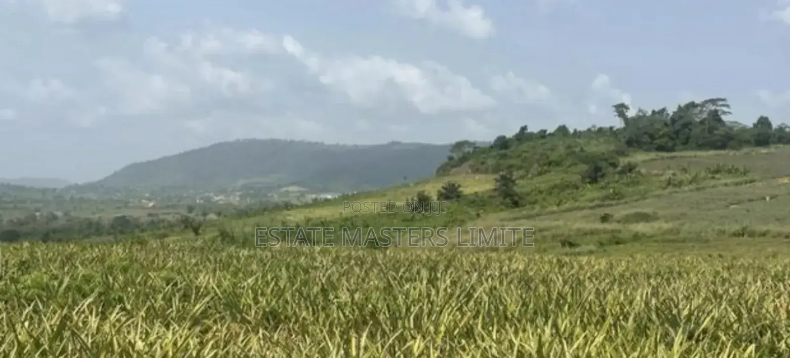 Verified and Certified Plots of Land for Sale at Dominase in Gomoa East