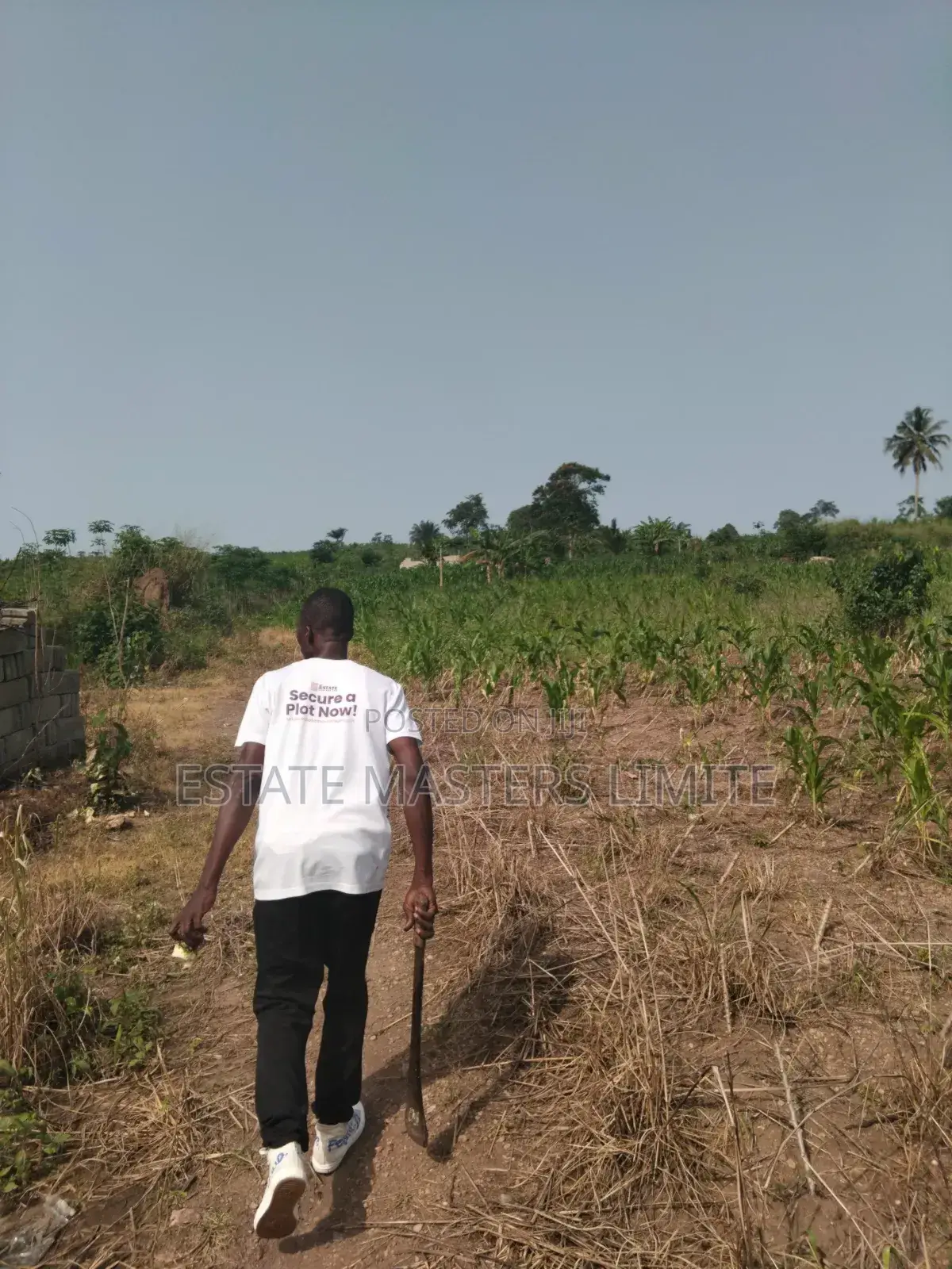 Build a Paradise on Our Lands at Dominase Litigation Free in Gomoa East