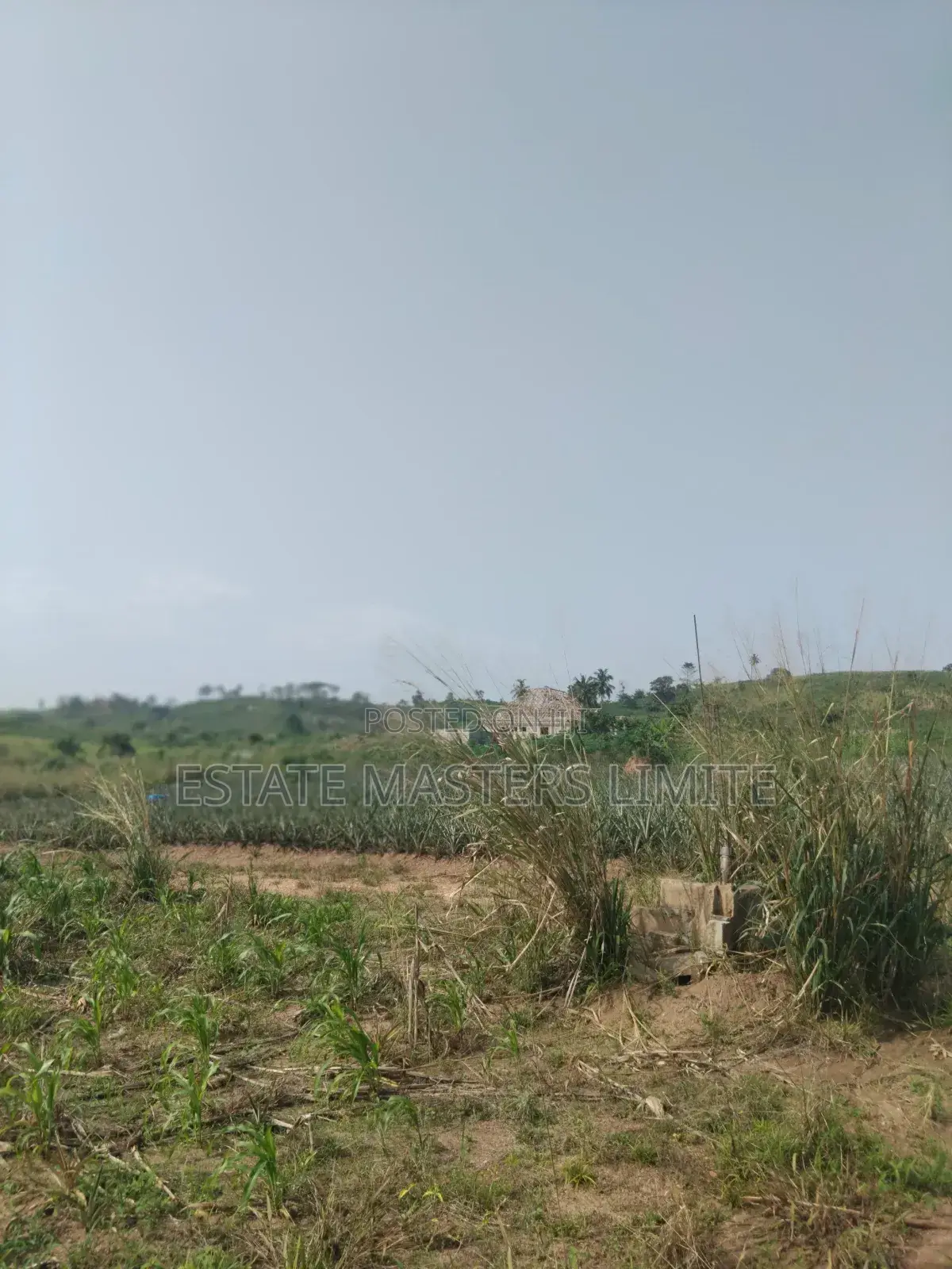 Estate Community Lands for Sale at Dominase 10% Discount in Gomoa East