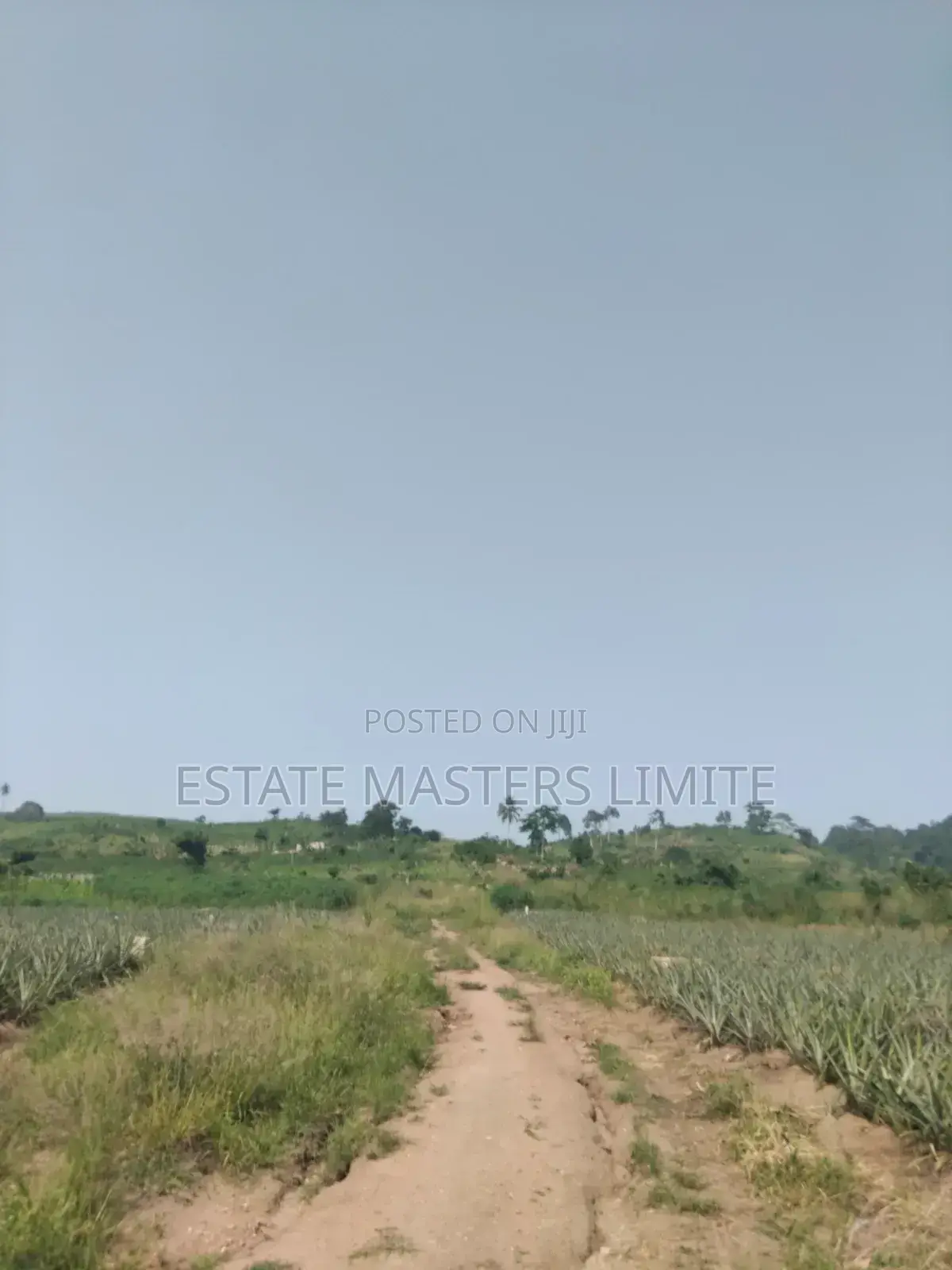 Estate Community Lands for Sale at Dominase 10% Discount in Gomoa East
