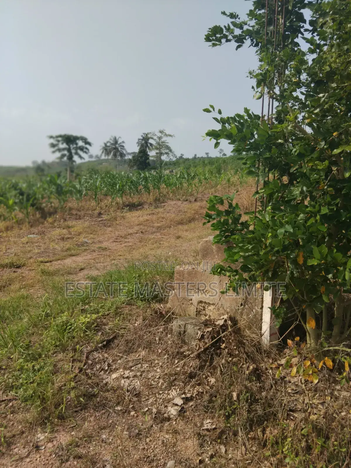 Invest in Your Dreams Prime Land for Sale in Gomoa East