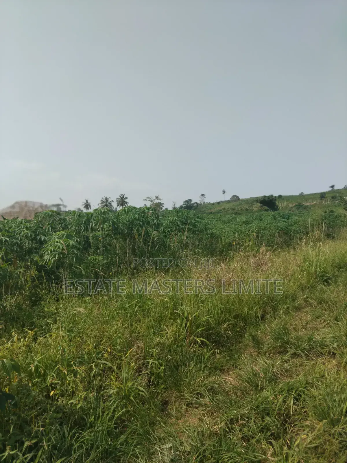 Unbelievable Opportunity Affordable Lands for Sale in Gomoa East