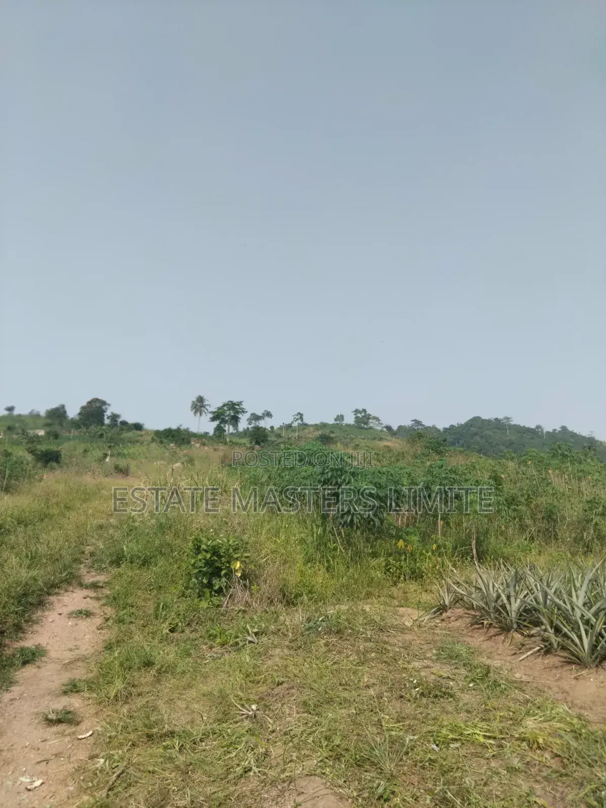 Unbelievable Opportunity Affordable Lands for Sale in Gomoa East