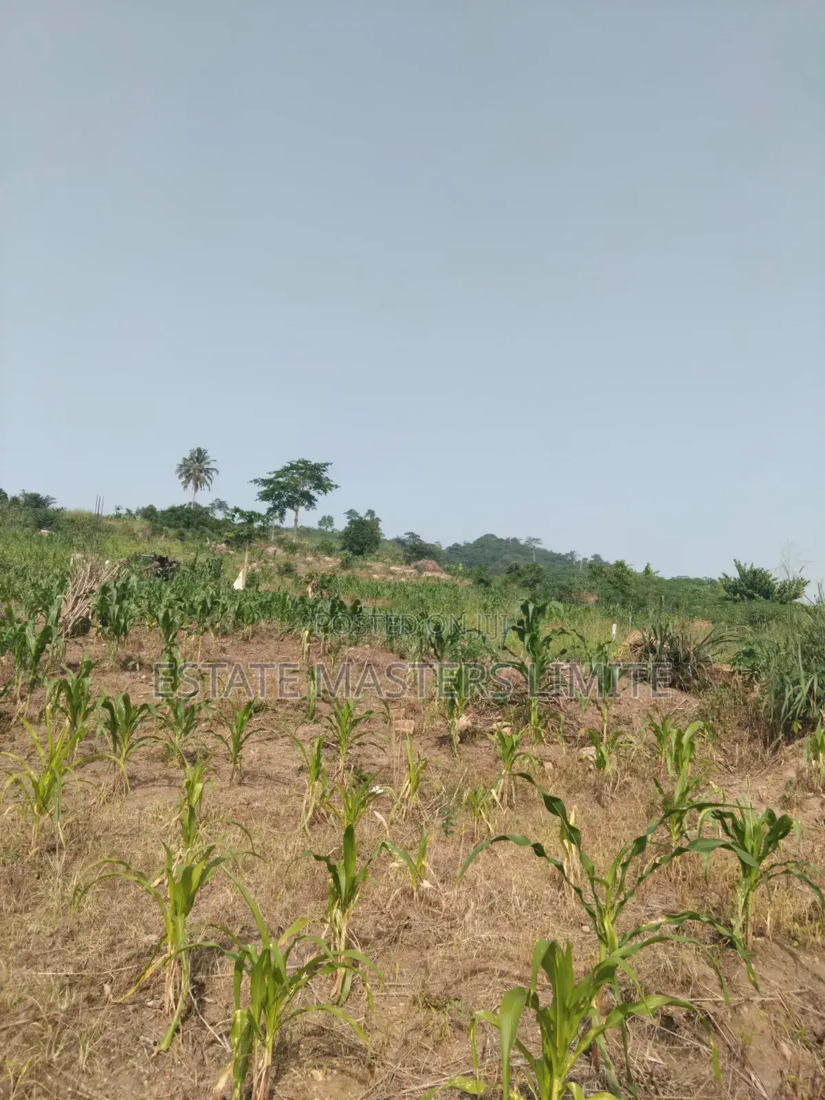 Build Your Future Residential Lands for Sale at Dominase 10% in Gomoa East