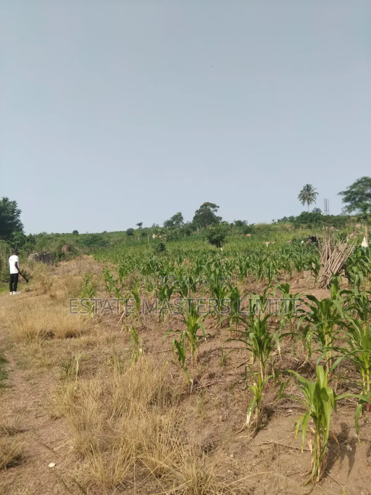 Build Your Future Residential Lands for Sale at Dominase 10% in Gomoa East