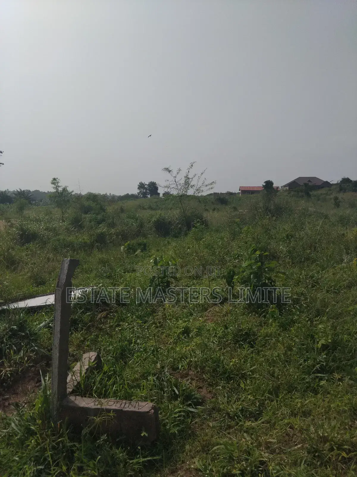 SECURE YOUR SPOT:Commercial Land for Sale in Prime Location in Gomoa East