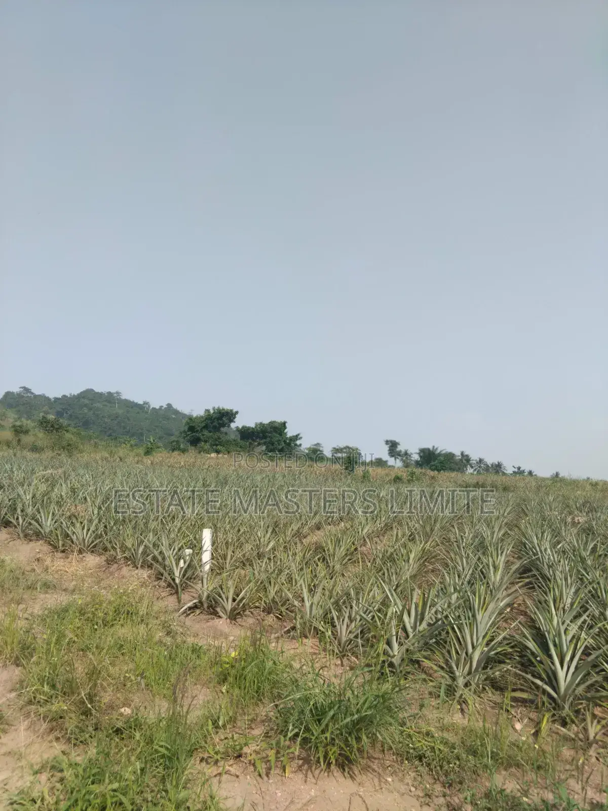 Mountain Retreat Land for Sale With Panoramic View in Gomoa East