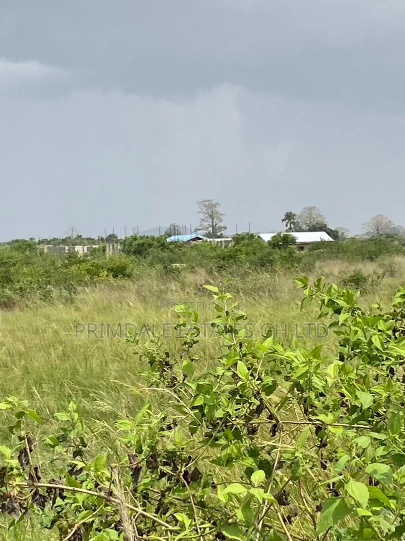 Afienya Residential Estate Half Plots in Sakumono