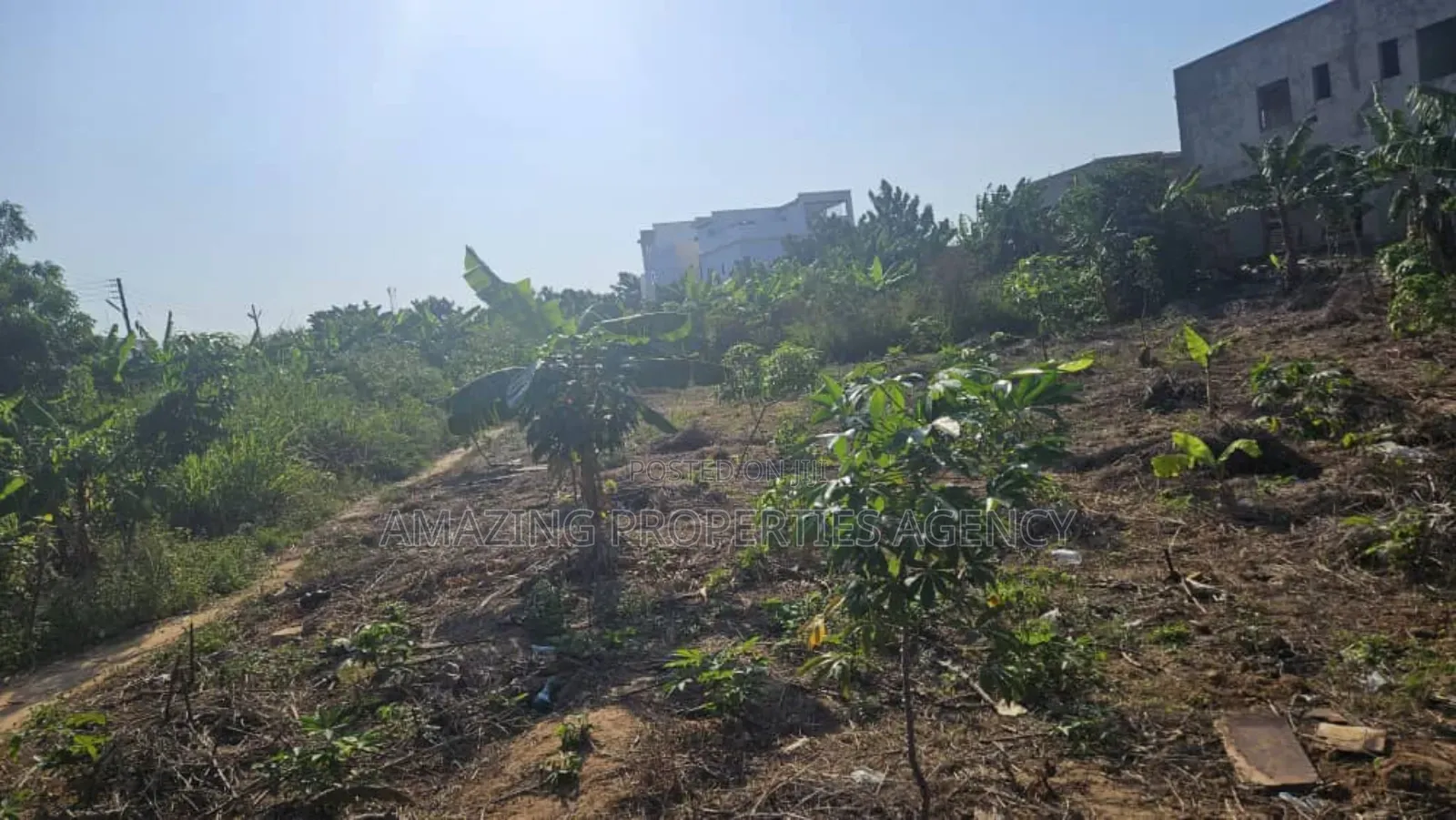 2.78 Acres of Land at Tema in Tema Metropolitan