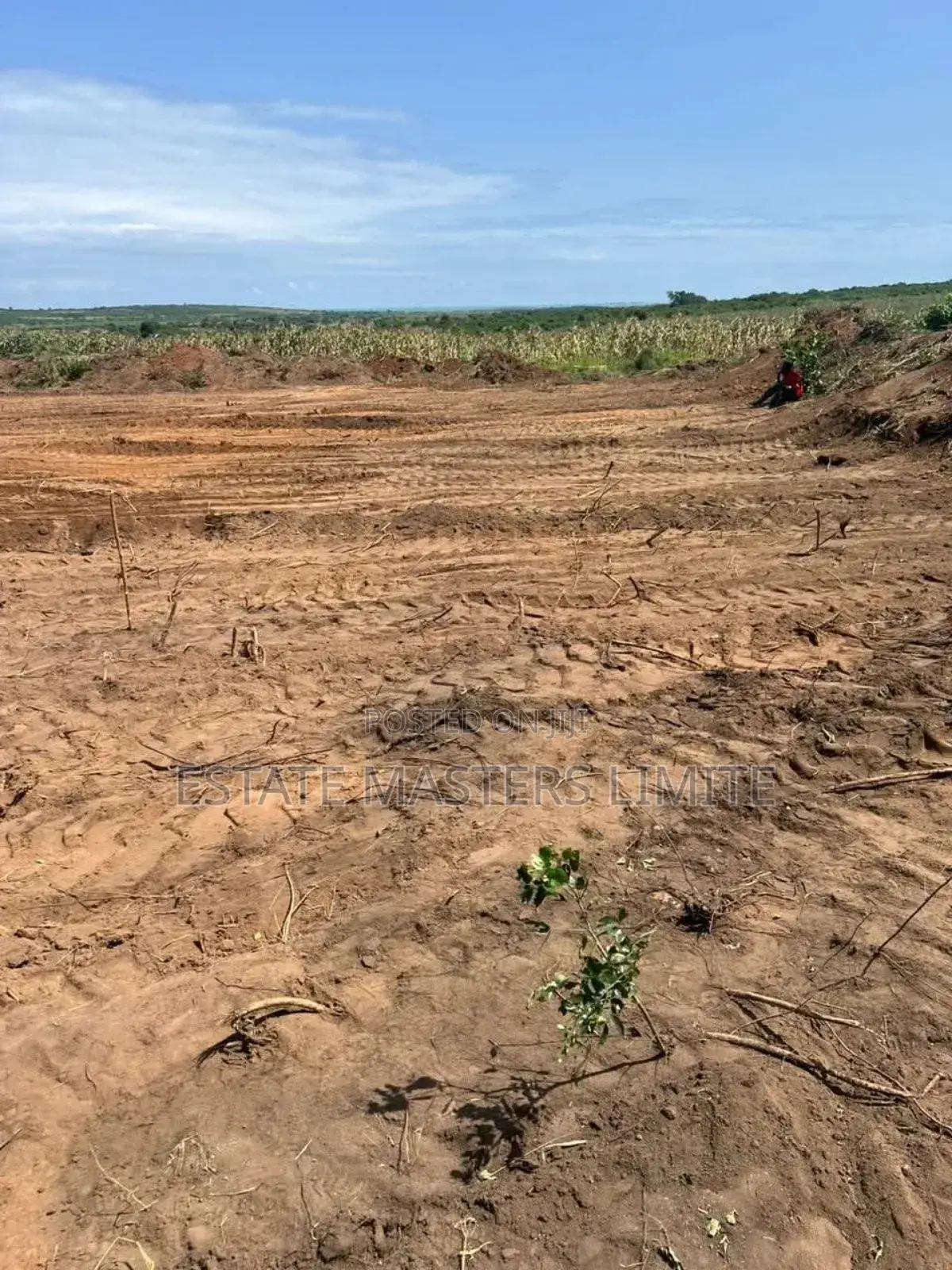 Relax in Nature Land for Sale , Private Lake and Wood Area in Gomoa East