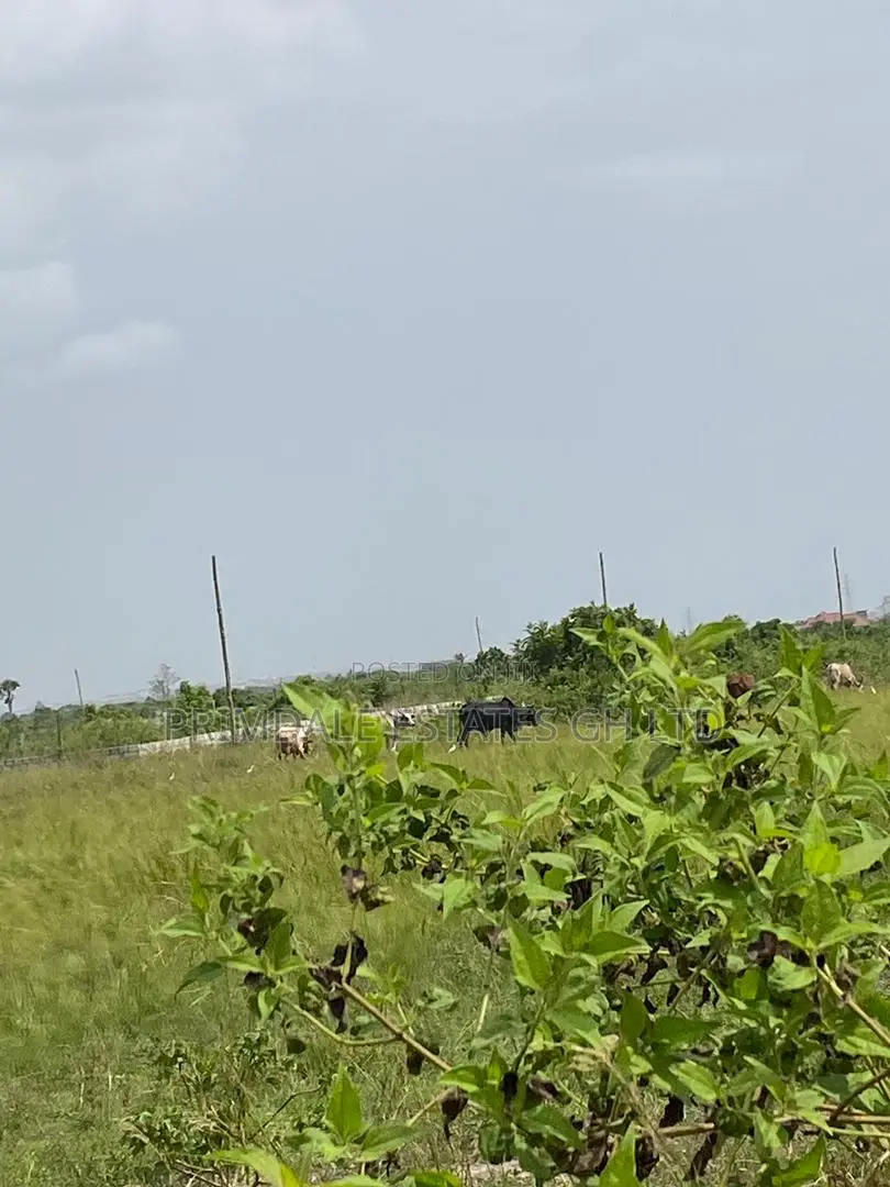 Titled Lands With Documents for Sale at Afienya in Sakumono