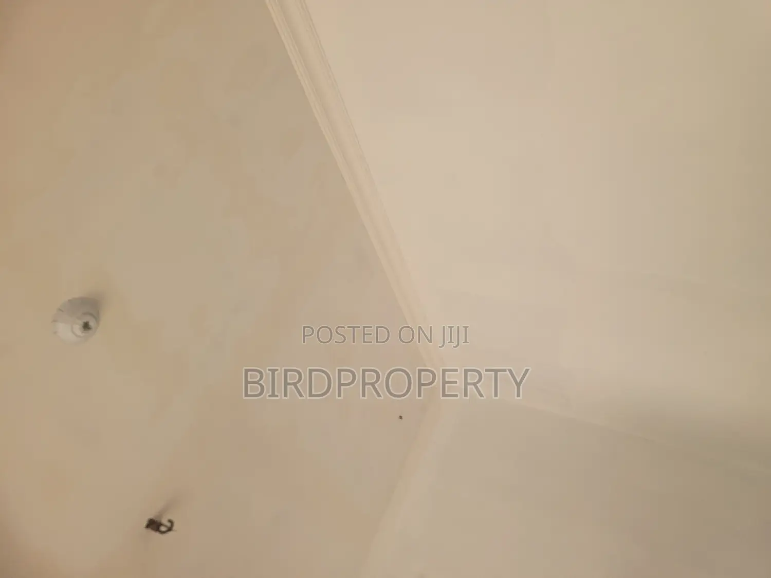 1bdrm Apartment in Birdgroup, Abelemkpe for rent in Abelemkpe