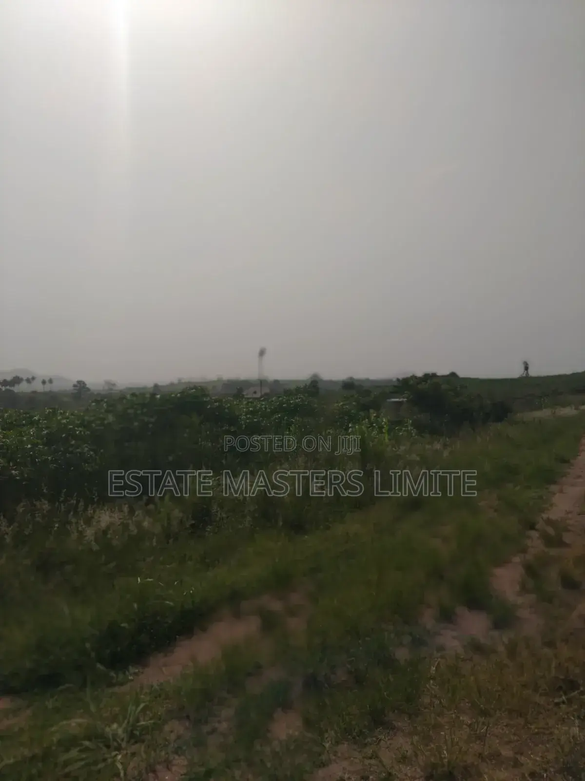 Limited Time Offer Land for Sale at Unbeatable Prices in Gomoa East