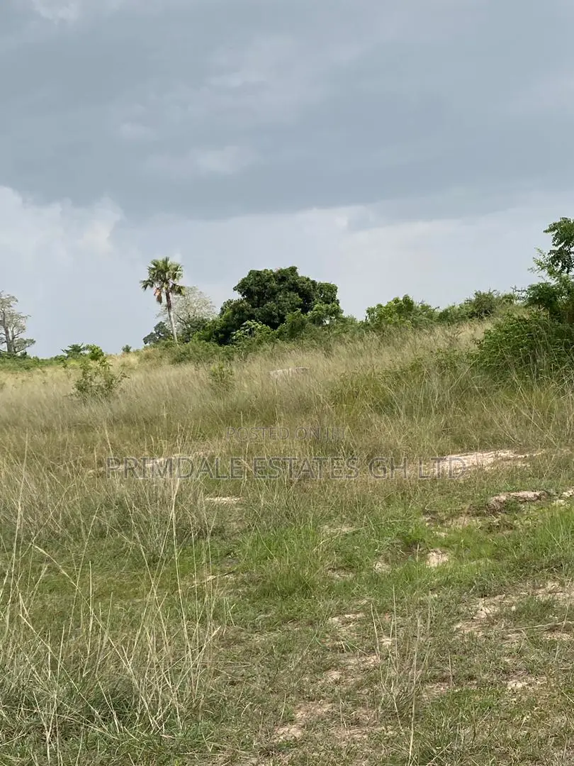 Well Serviced Plots for Sale at Afienya in Sakumono