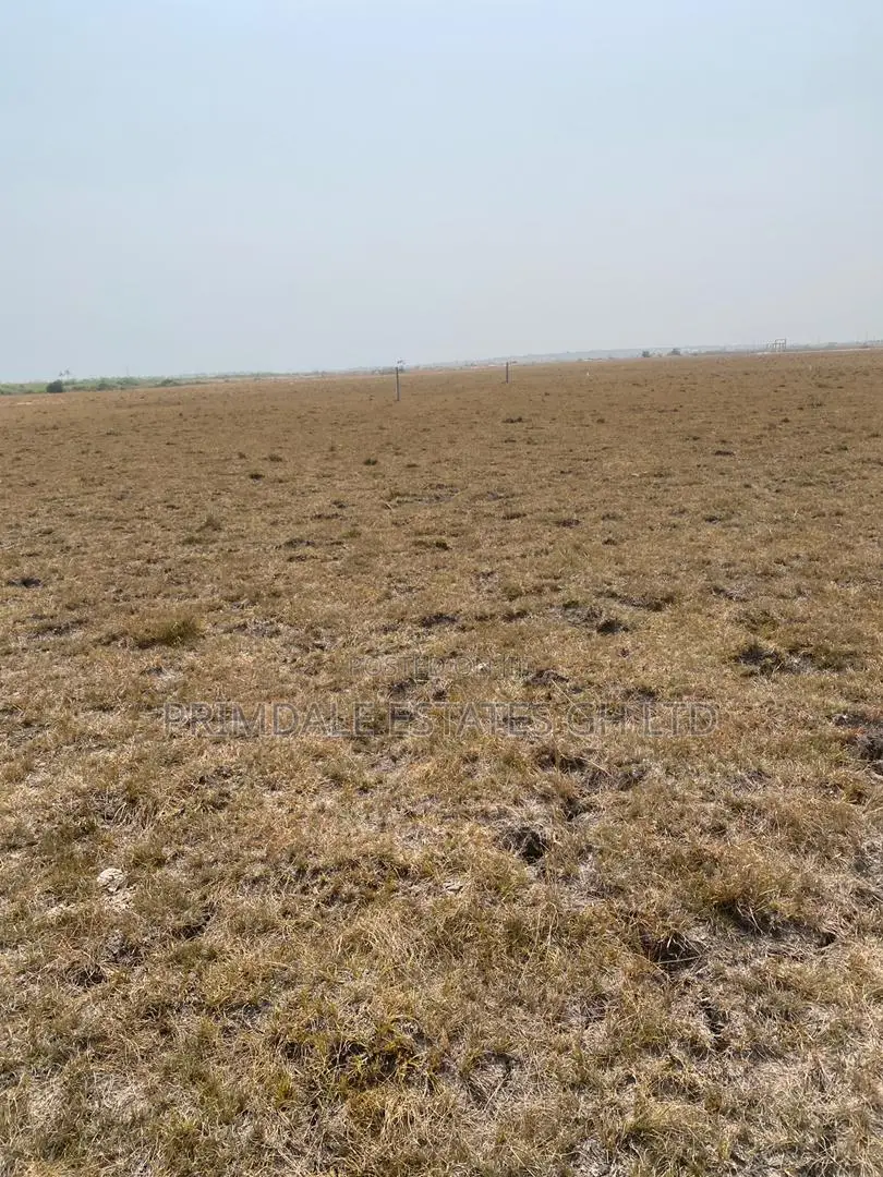 Estate Lands Tsopoli-Lapkleku Affordable in Old Ningo