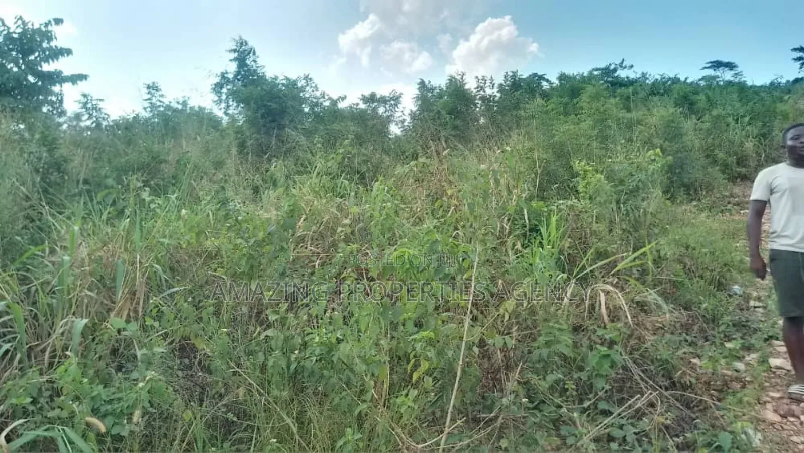 2 Acres of Land at Ayi Mensah in Aburi