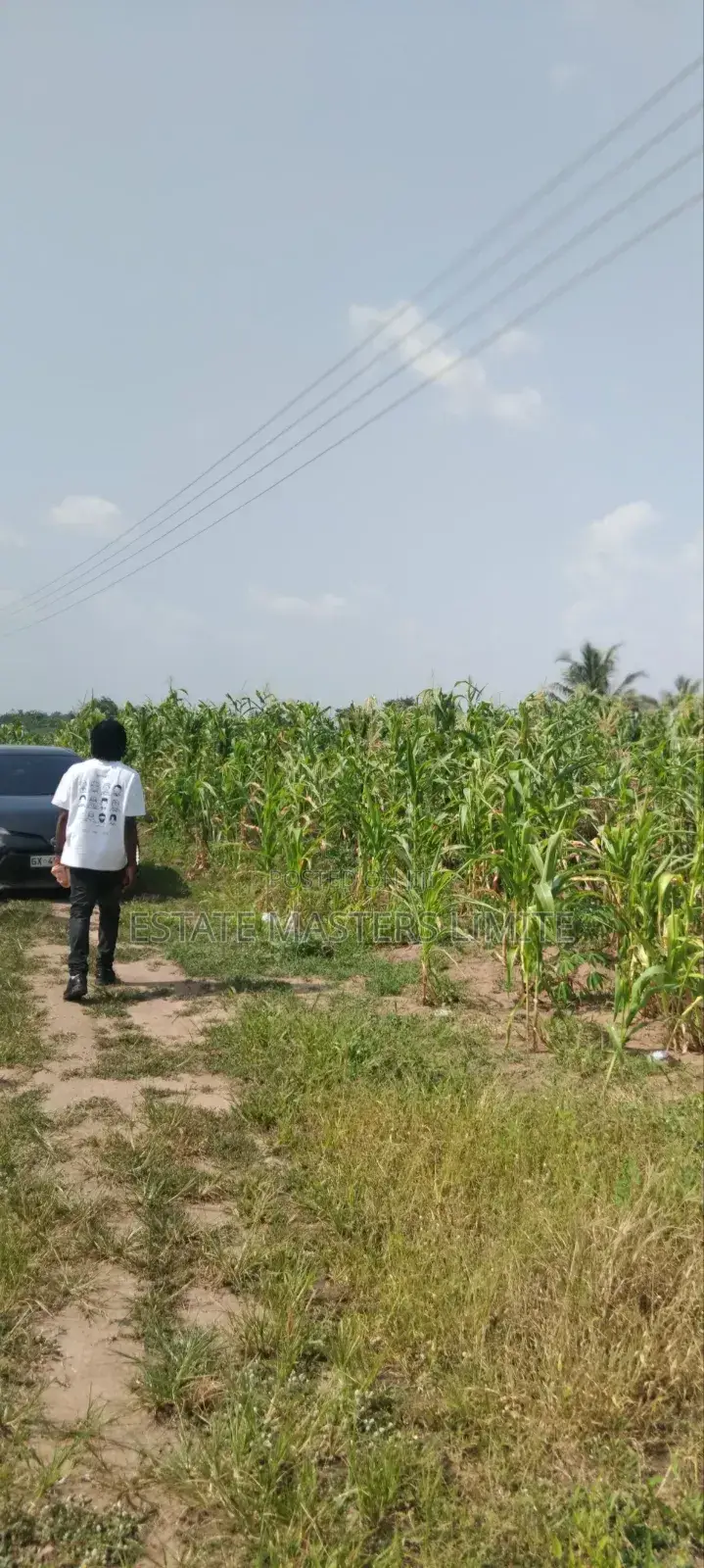 50x70 Plots of Land for Sale in Gomoa East