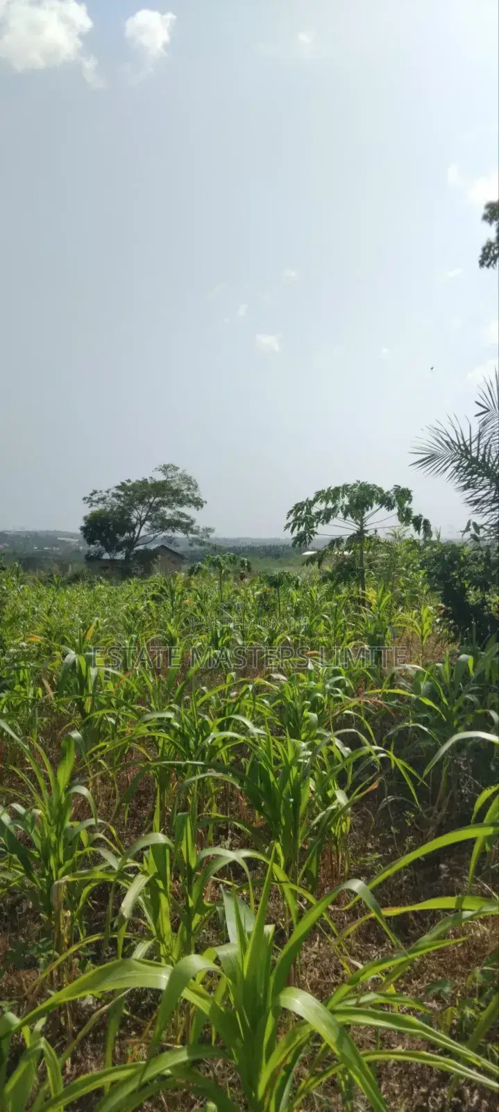 Serviced Plots of Lands for Sale in Gomoa East