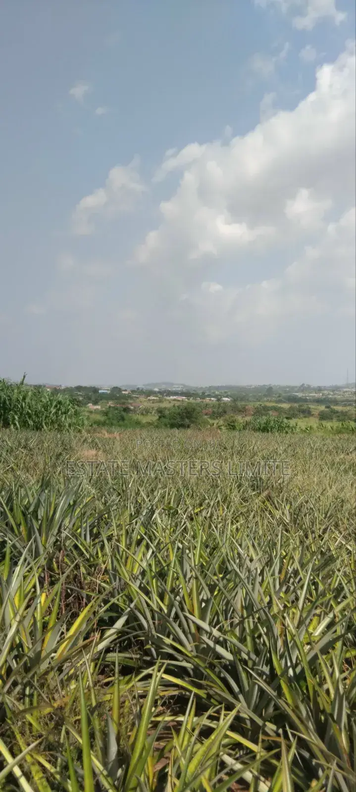Acres of Lands Available for Sale in Gomoa East