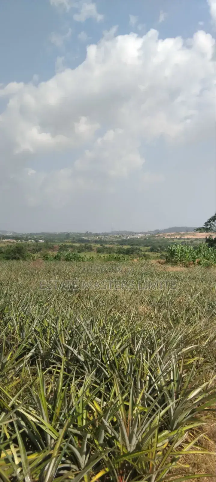 Acres of Lands Available for Sale in Gomoa East