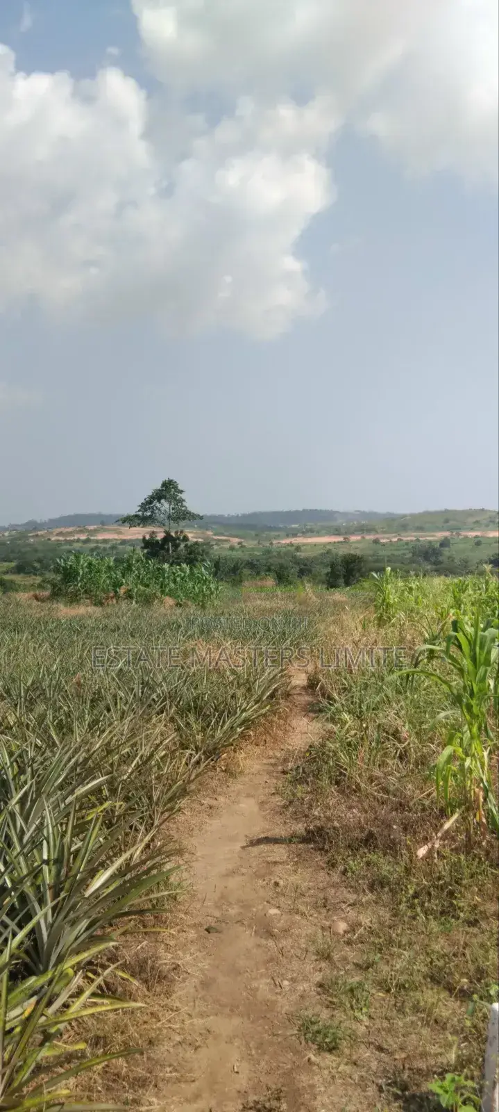 Very Beautiful Lands Avaliable for Sale in Gomoa East