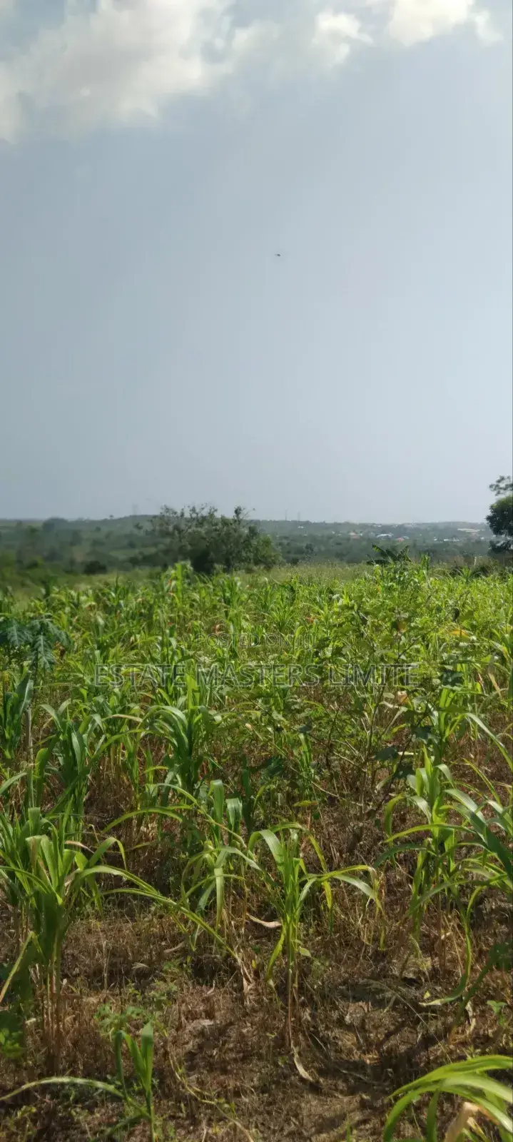 Very Beautiful Lands Avaliable for Sale in Gomoa East