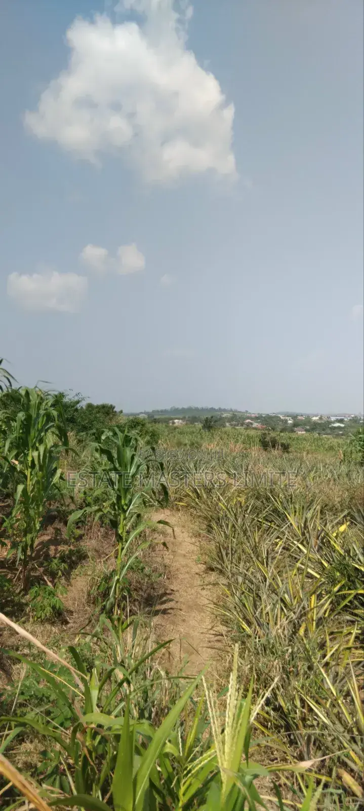 70x100 Beautiful Plots for Sale in Gomoa East
