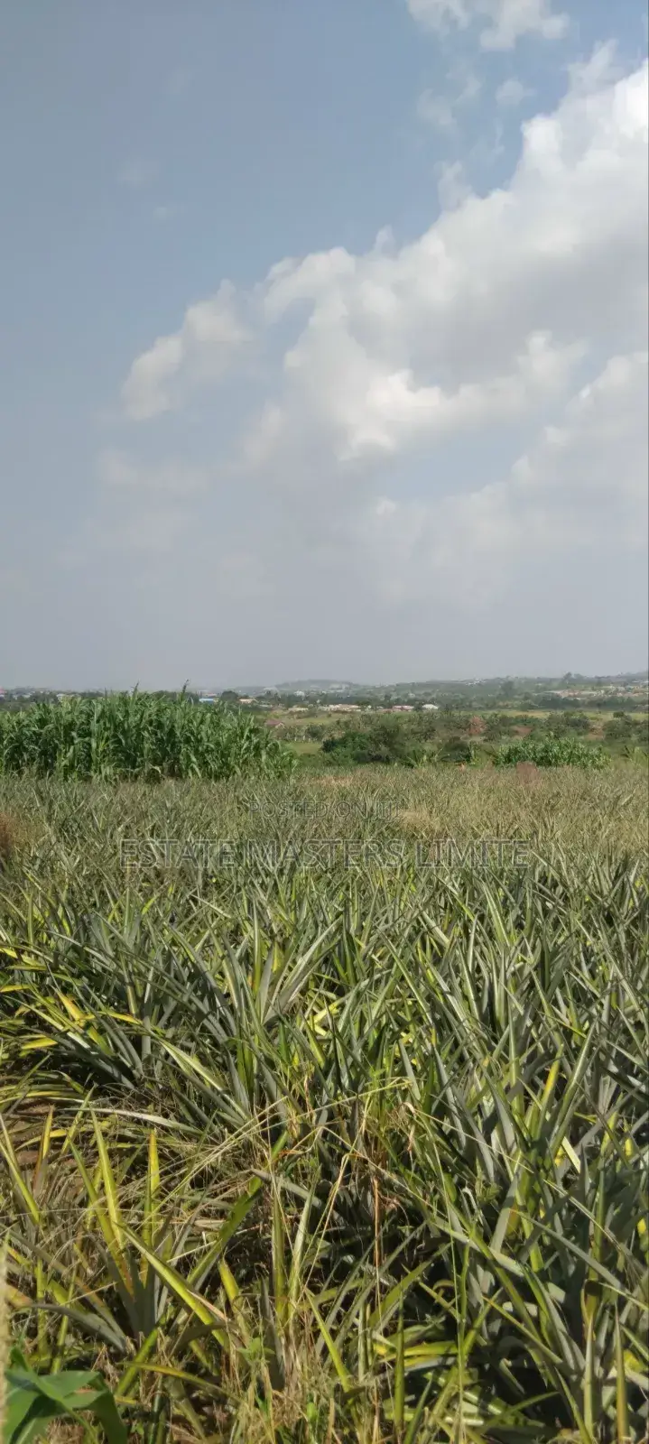 70x100 Beautiful Plots for Sale in Gomoa East
