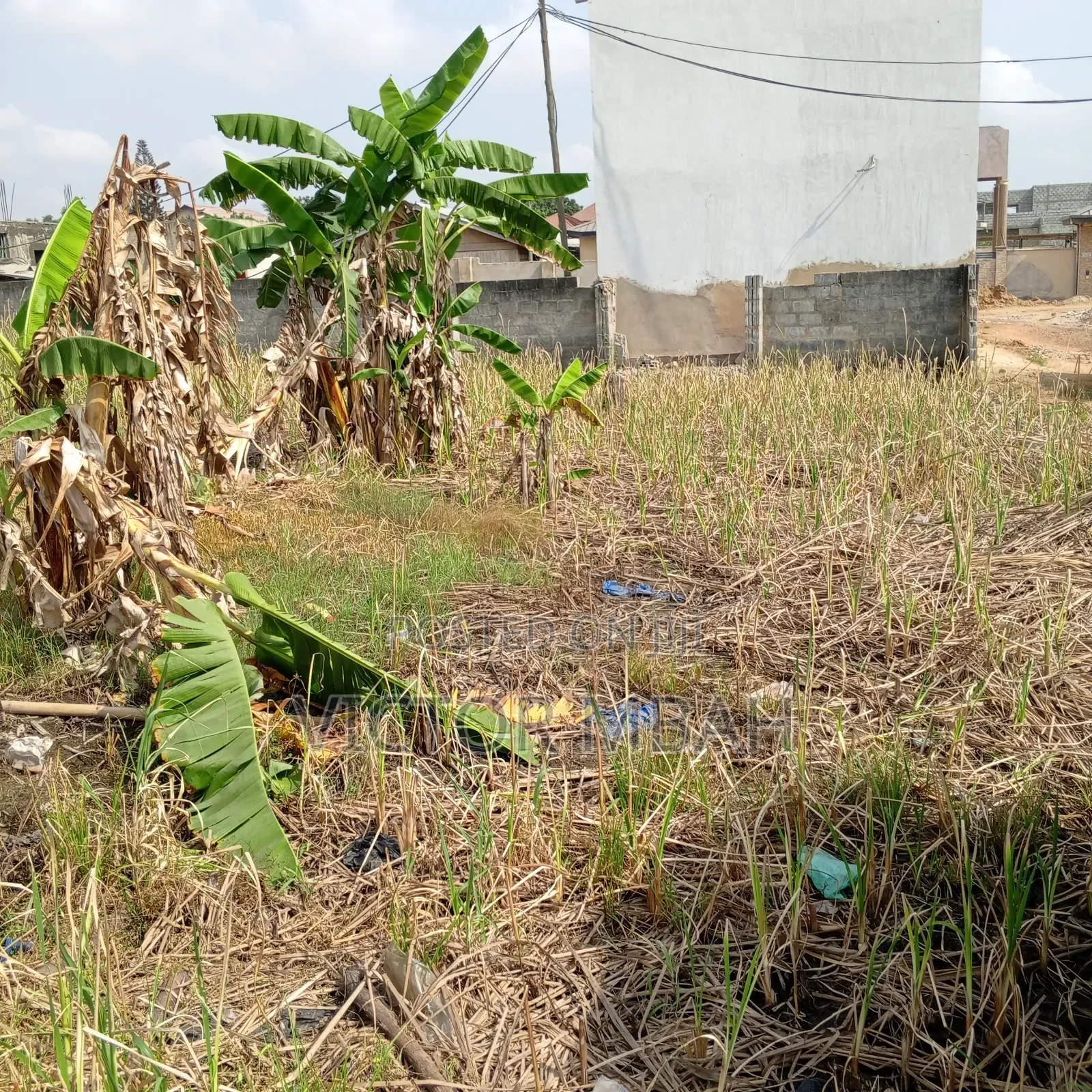 A Residential Titled 2 Plots of Land for Sale in Ashaiman Municipal