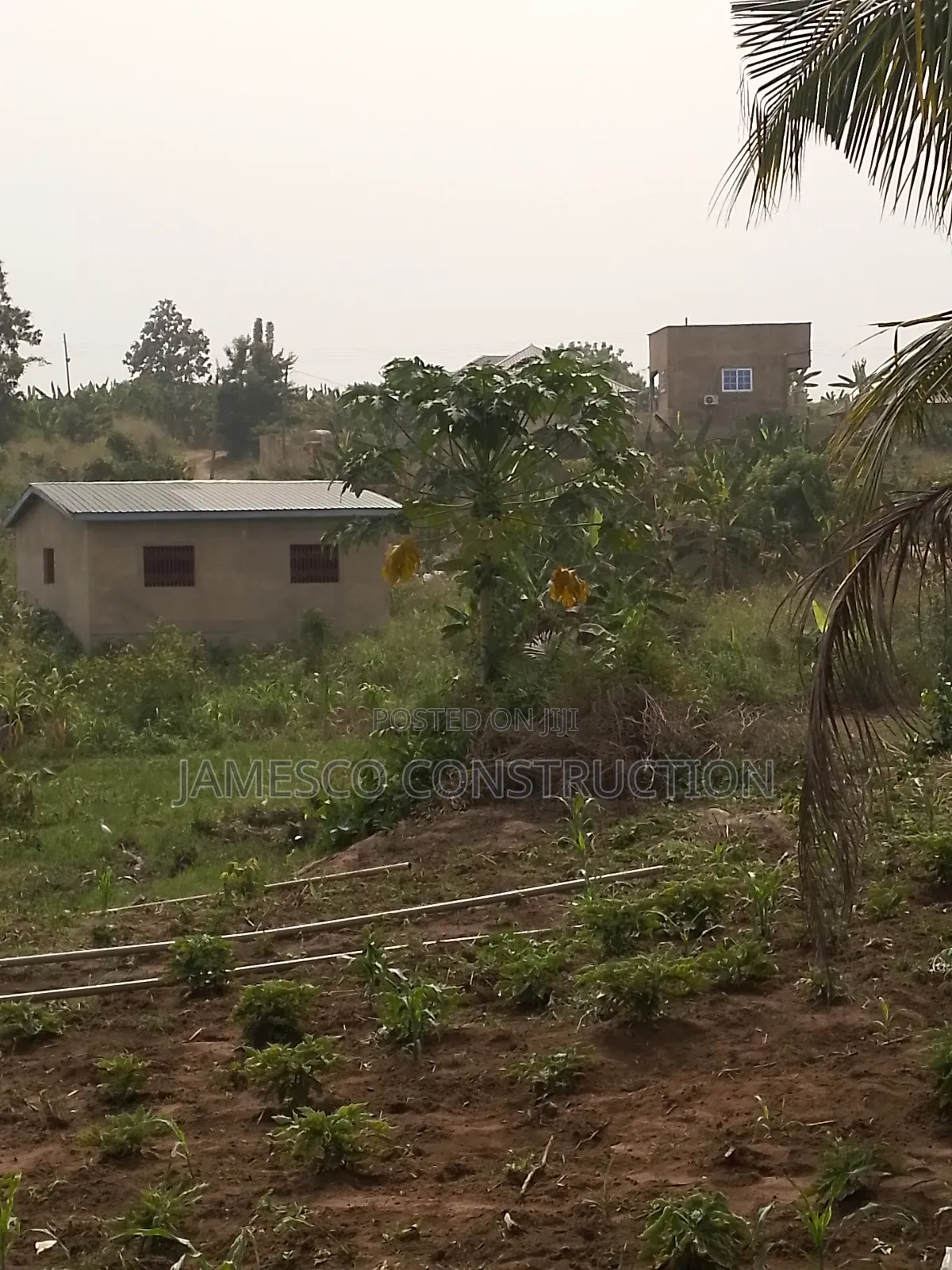 Farmland for Sale in Ayensuano