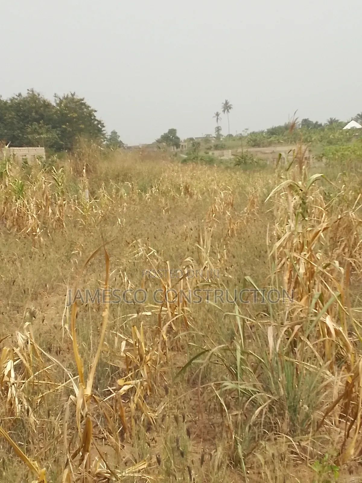 Farmland for Sale in Ayensuano