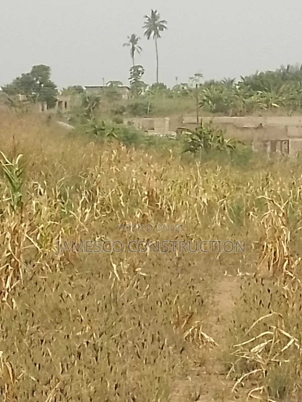 Farmland for Sale in Ayensuano