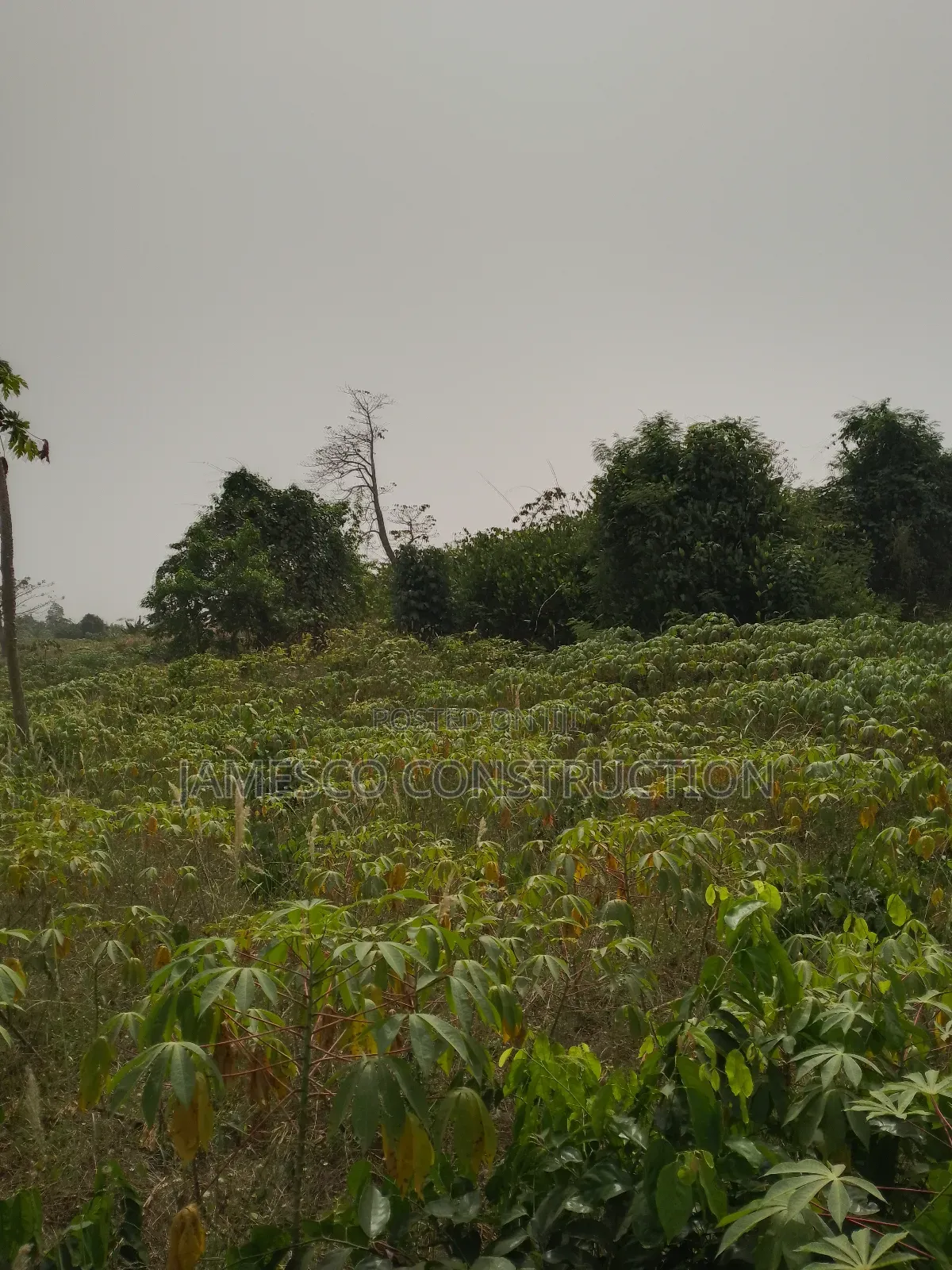 Residential Lands for Sales in Ayensuano